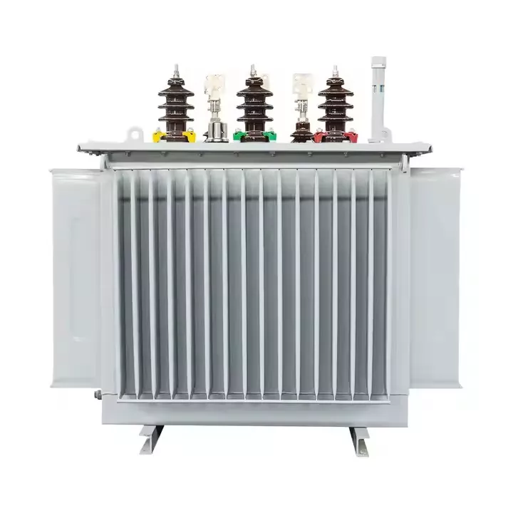 1000 kVA パッドマウント三相油入配電変圧器